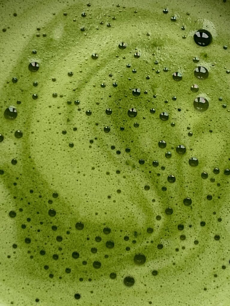 Matcha2